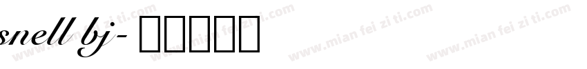 snell bj字体转换